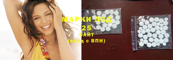 spice Аркадак