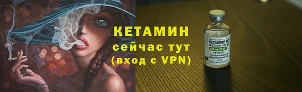 тгк Дмитриев