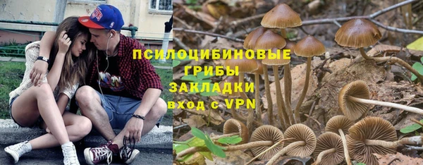 PSILOCYBIN Арсеньев