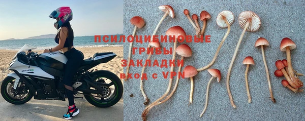 PSILOCYBIN Арсеньев