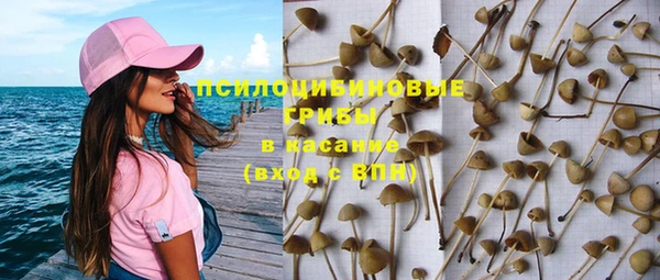 PSILOCYBIN Арсеньев