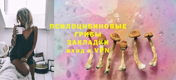 PSILOCYBIN Арсеньев
