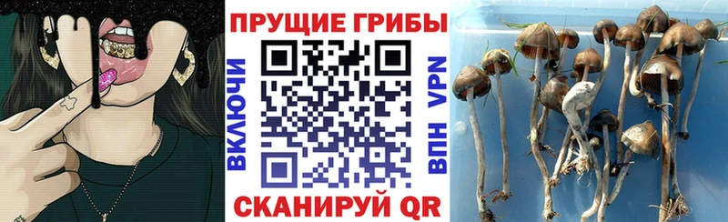 Галлюциногенные грибы мицелий  Среднеуральск 